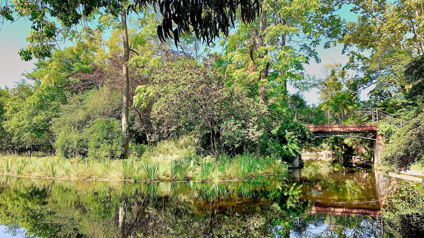 Lago, puente y vegetación del parque Can Solei i Ca l’Arnús, en Badalona