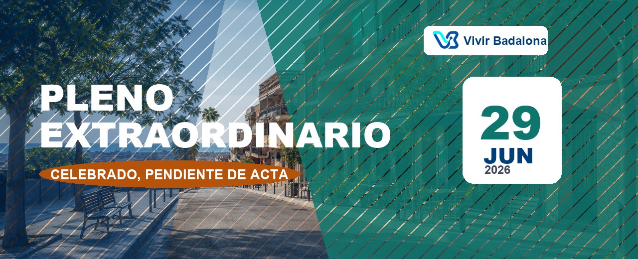Pleno extraordinario del 29 de junio: imagen del pleno
